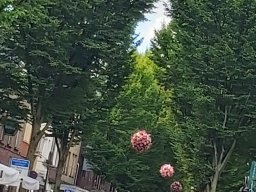 Strassenkunst 2025 Geldern